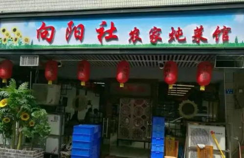 不出深圳也能吃遍34个省的代表菜,快来看你家乡的代表是......